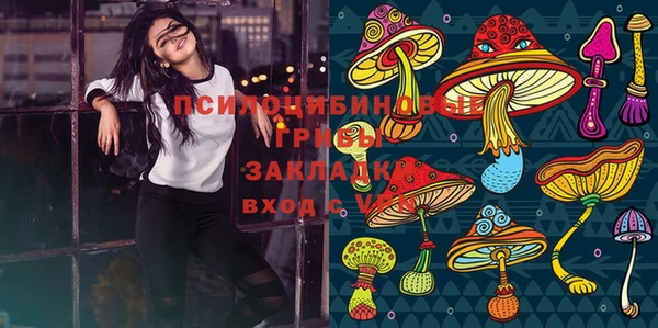 эйфоретик Нея