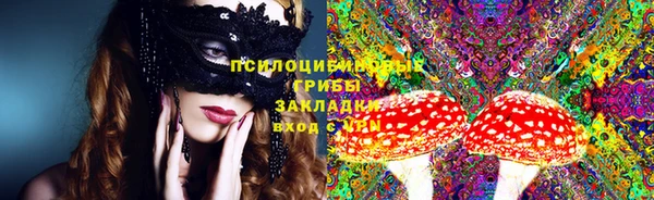 ГАЛЛЮЦИНОГЕННЫЕ ГРИБЫ Алексин