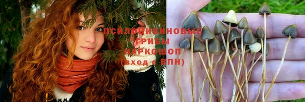 ГАЛЛЮЦИНОГЕННЫЕ ГРИБЫ Алексин