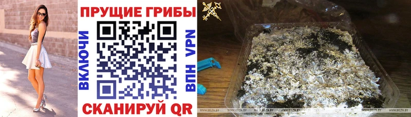 Псилоцибиновые грибы ЛСД  цена   Сегежа 